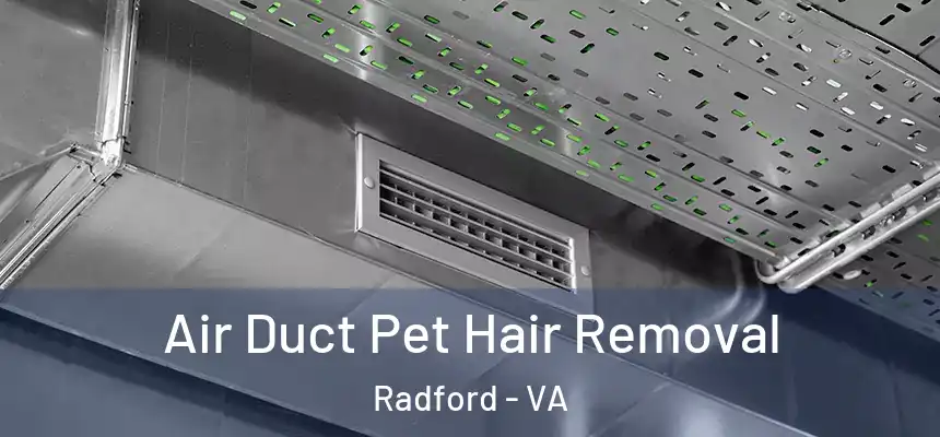 Air Duct Pet Hair Removal Radford - VA