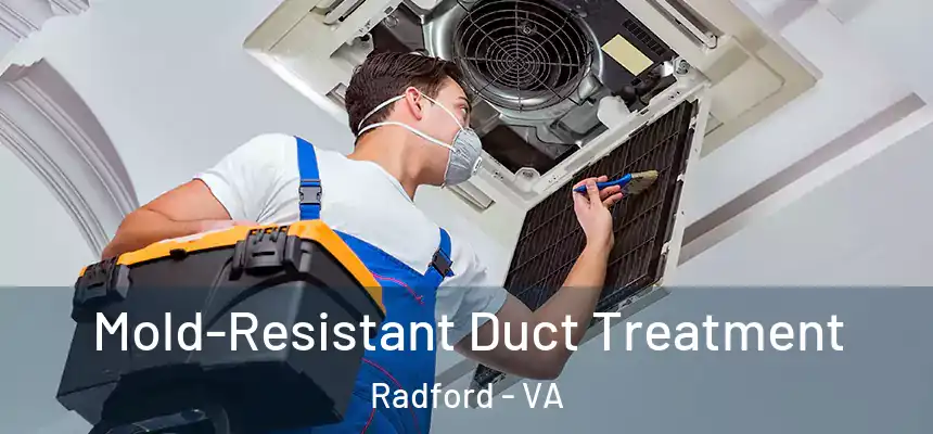  Mold-Resistant Duct Treatment Radford - VA