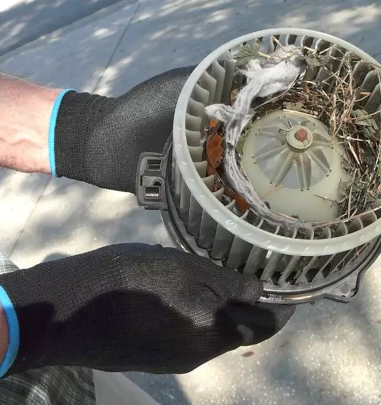 About Air Duct Mice Removal in Radford, VA