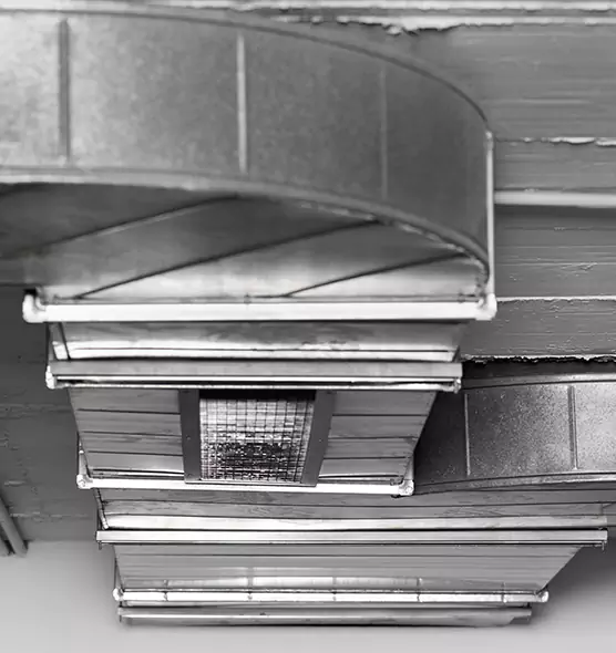 Professional Air Duct Pest Removal in Radford, VA