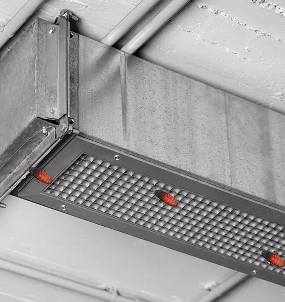 Affordable Insect Removal from Air Ducts in Radford, VA