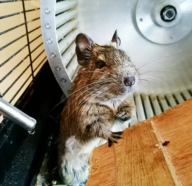 Why Homeowners & Businesses Trust Us Radford, VA