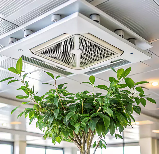 Why Homeowners & Businesses Trust Us in Radford, VA